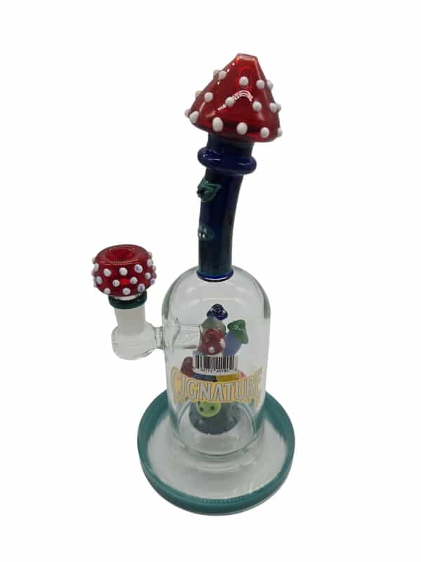 CIGNATURE 10" MONSTER HEAD TOP WITH MUSHROOM PERC DOME WATER PIPE