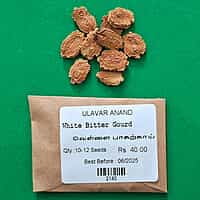 White Bitterguard | வெள்ளை பாகல்