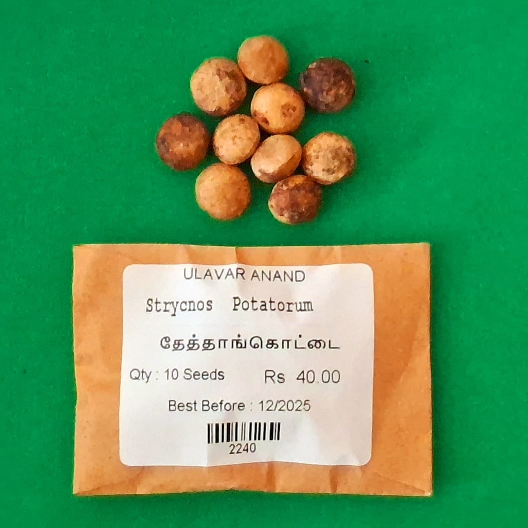Strycnos Potatorum (தேத்தாங்கொட்டை )