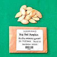 RED PUMPKIN YELLOW (சர்க்கரை பூசணி - மஞ்சள் )