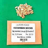 தோசைக்காய் உருட்டு வெள்ளரி | Cucumber Round