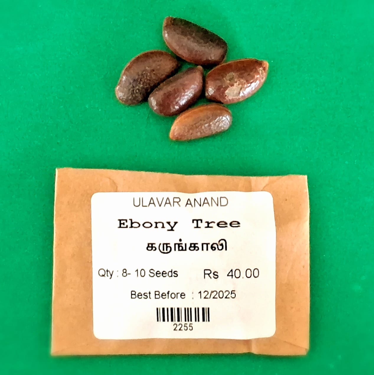 Ebony(Karungali) Tree  Seed ( கருங்காலி )