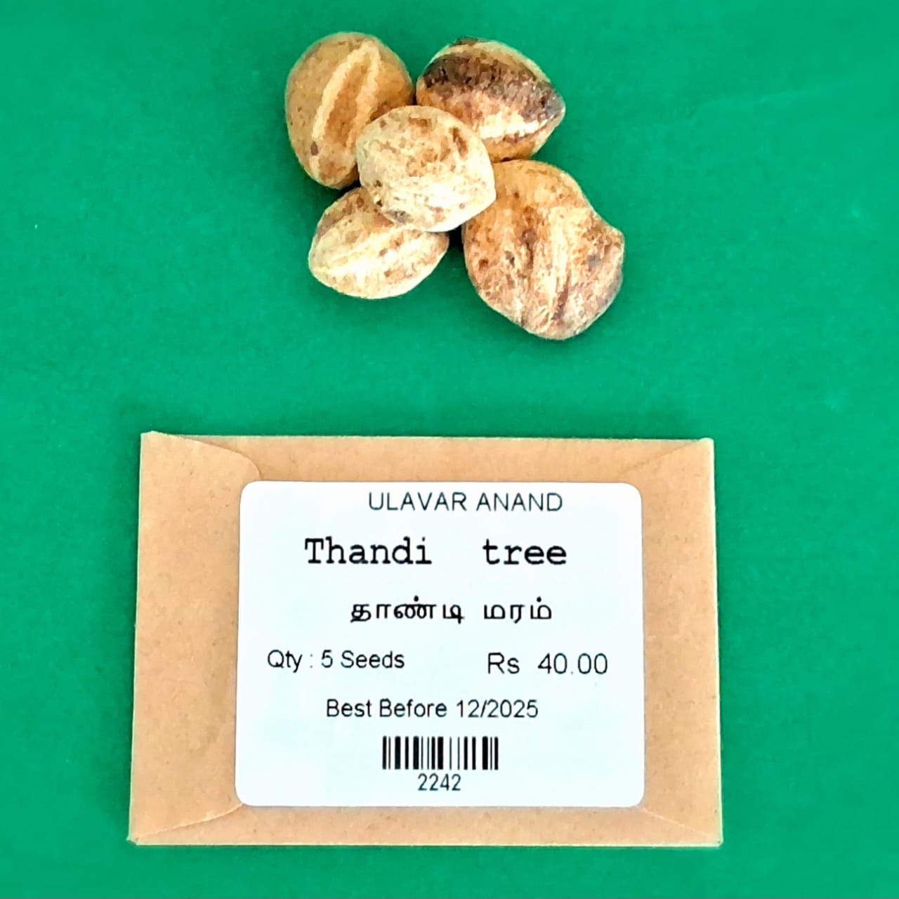 Thandi tree (தாண்டி மரம் )