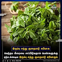 VENTHAYA KEERAI ( FEUNGREEK ) (வெத்தயக்கீரை)