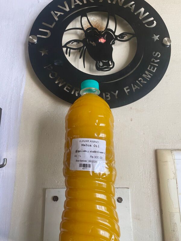 இலுப்பை எண்ணெய்| Mahua Oil |1 LTR