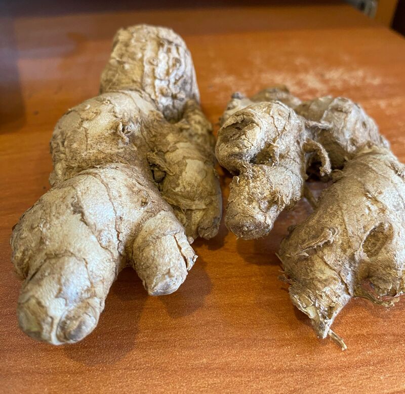 ஷாம்பு இஞ்சி விதை  100 Gr  | Shampoo Ginger Seed 100 Gr