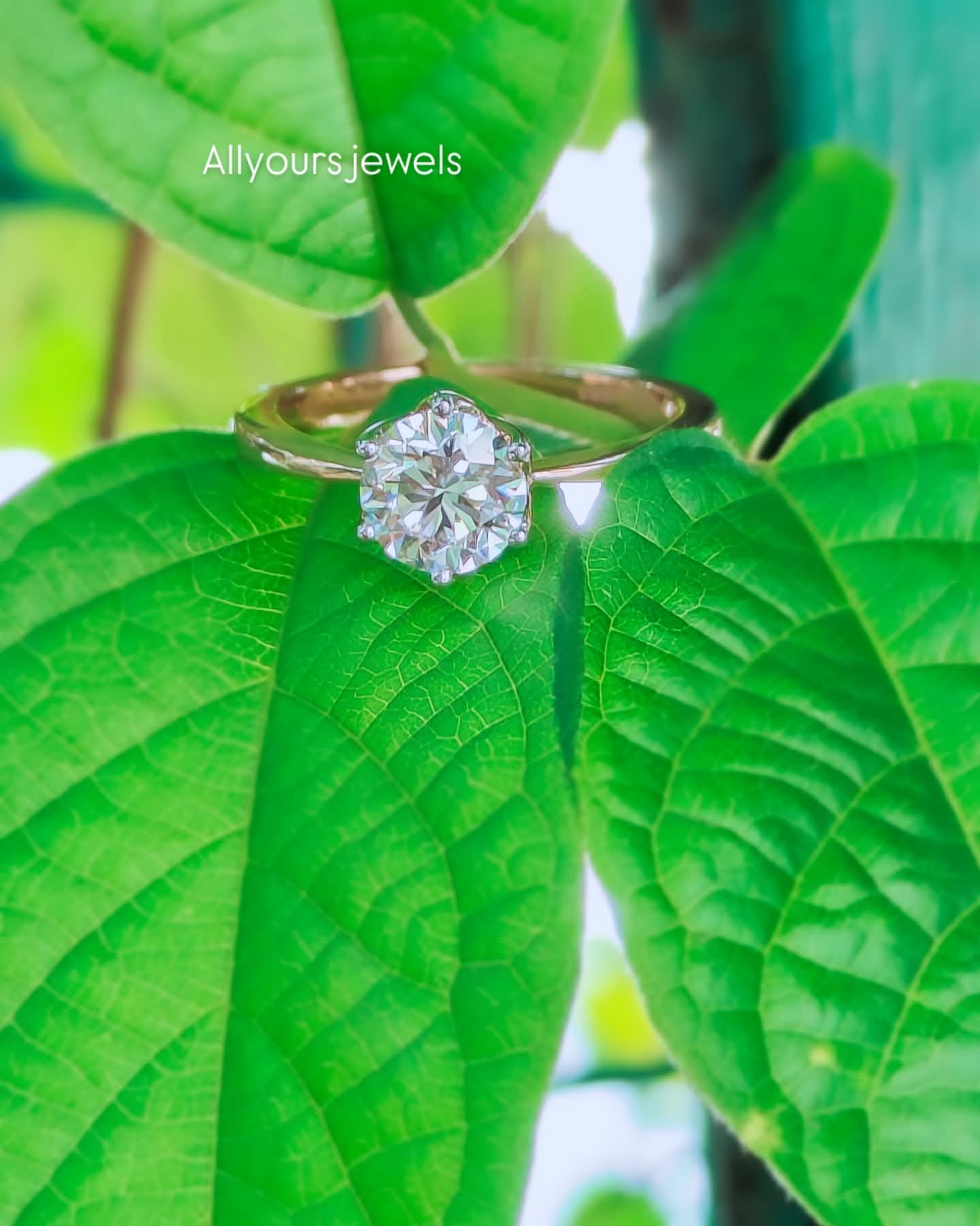 Rose Gold Diamond Ring