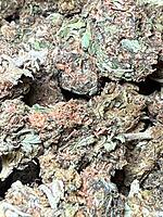 Chocolope Exterior