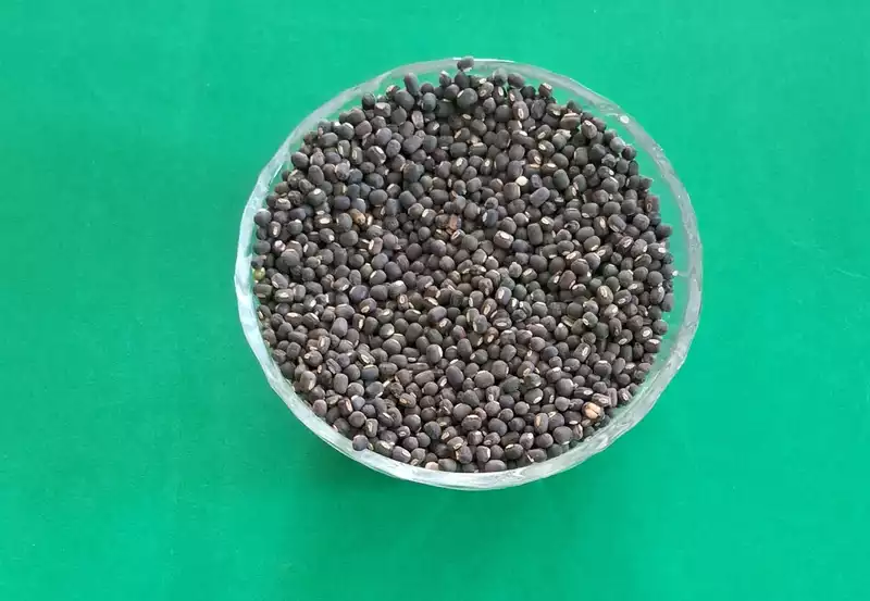 Black Gram  500 G | கருப்பு உளுந்து  500 G
