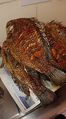 Ready-to- Eat Fried Tilapia (Lake Caught) Ready-to- Eat Fried Tilapia (Lake Caught)