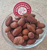 egg fruit 5 SEEDS