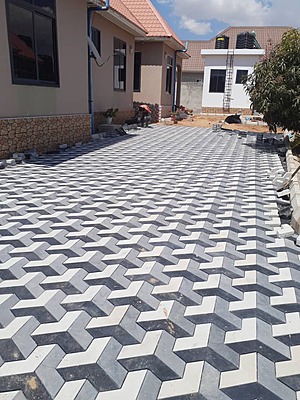 Arrow paving blocks