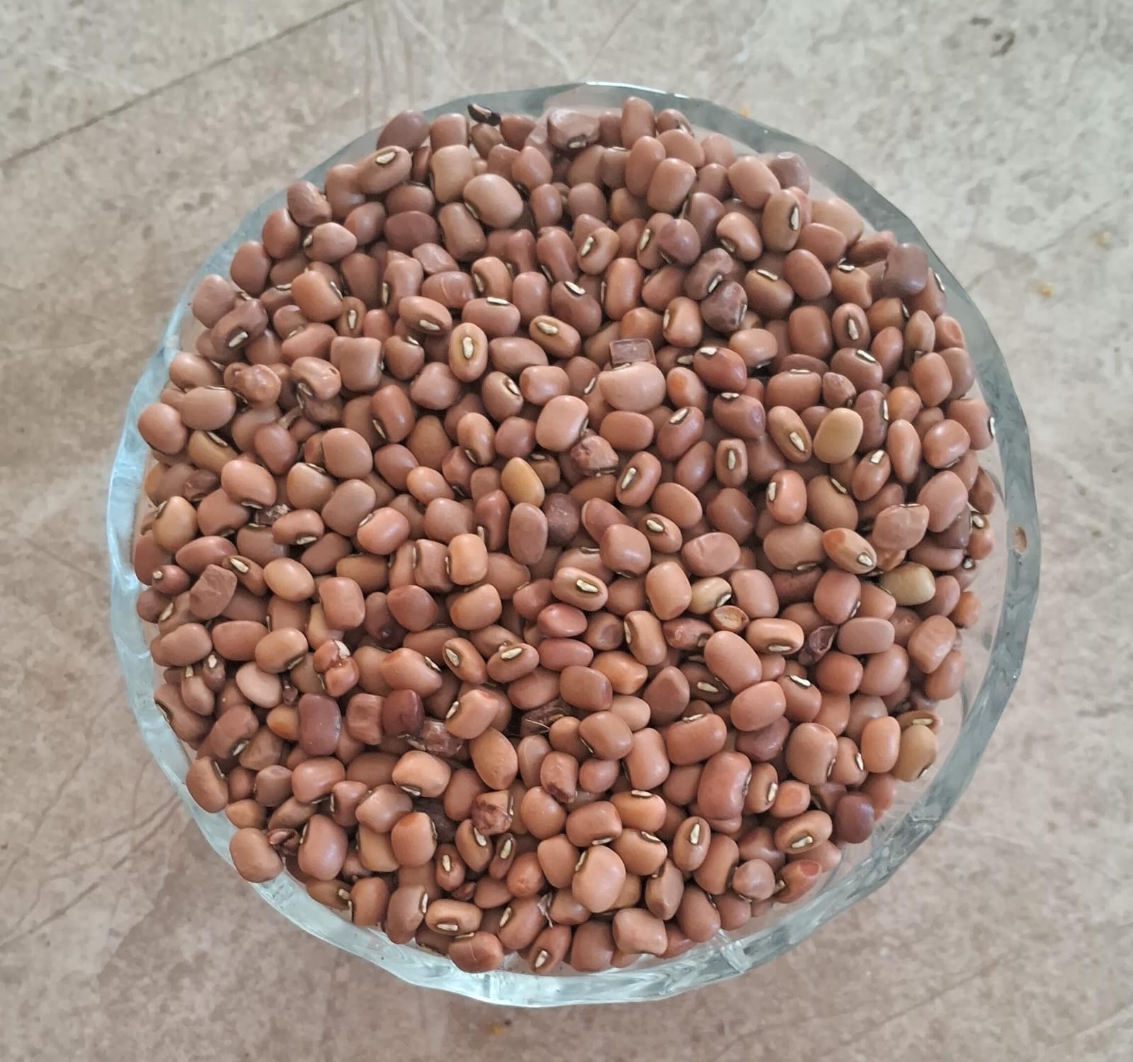 தட்டைப்பயிறு/Cowpeas 500 Gr