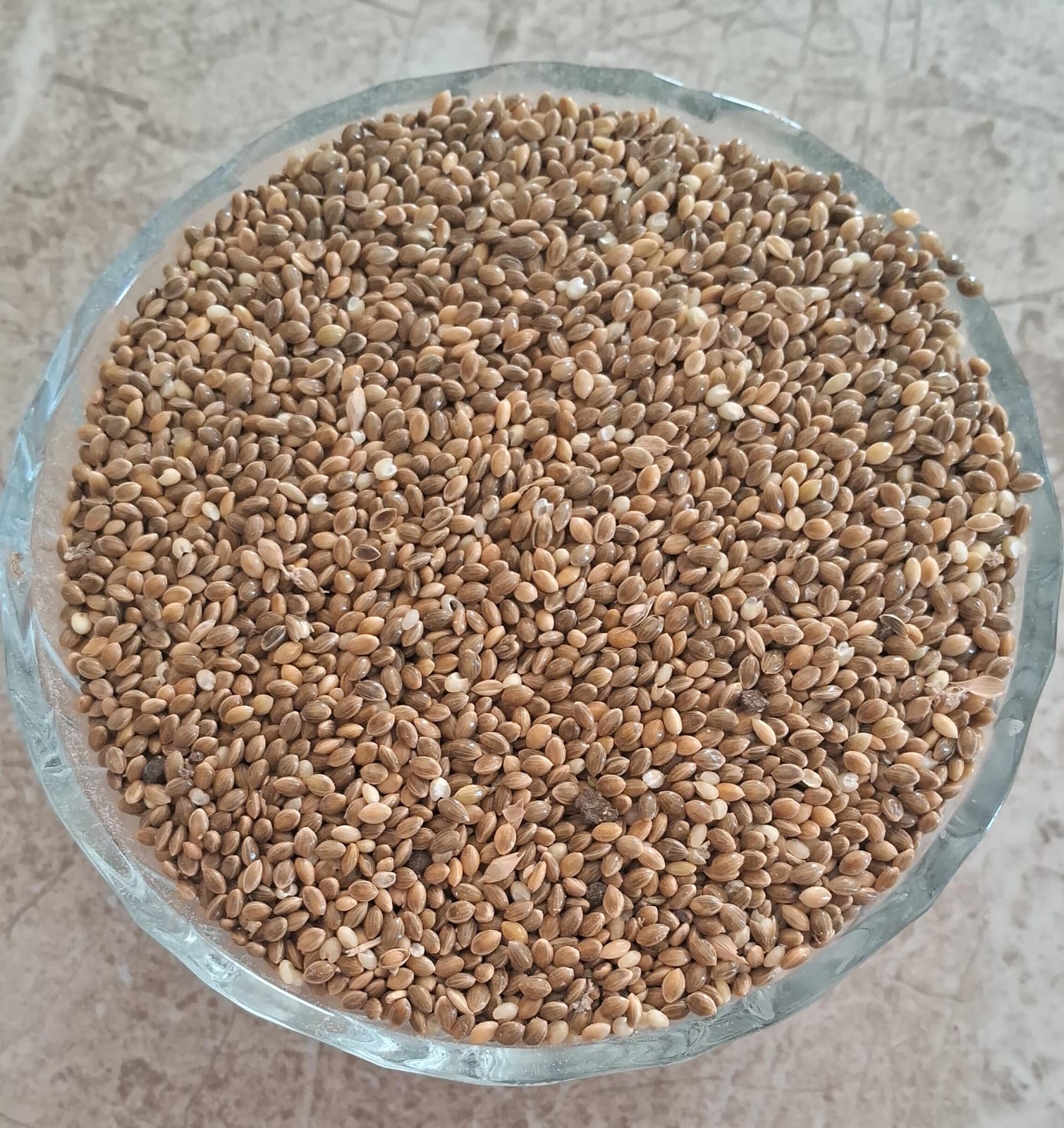 Kadai kanni Seed  | காடை கன்னி 100g