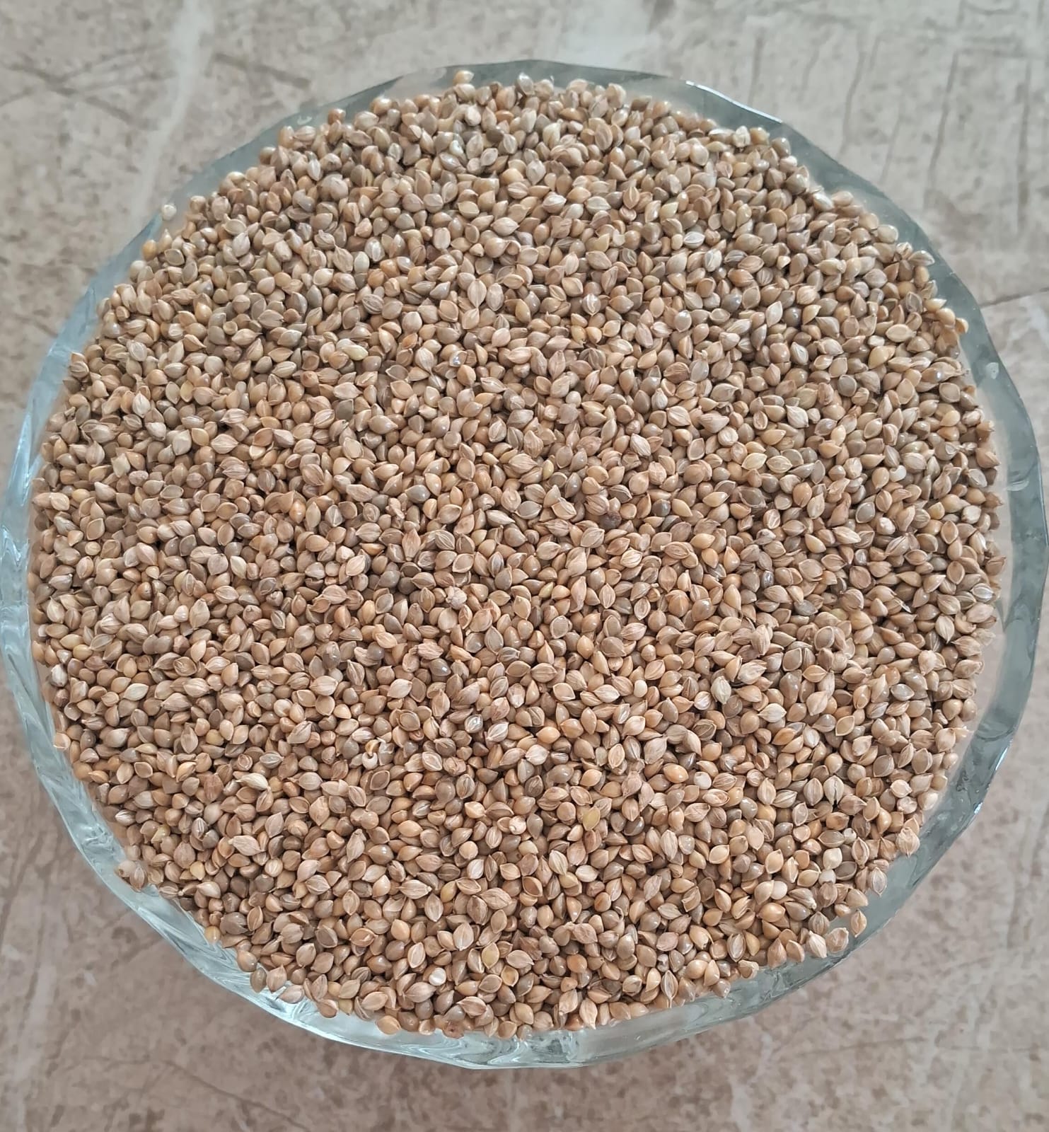 Pani Varagu Seed  | பனி வரகு விதை 100 G