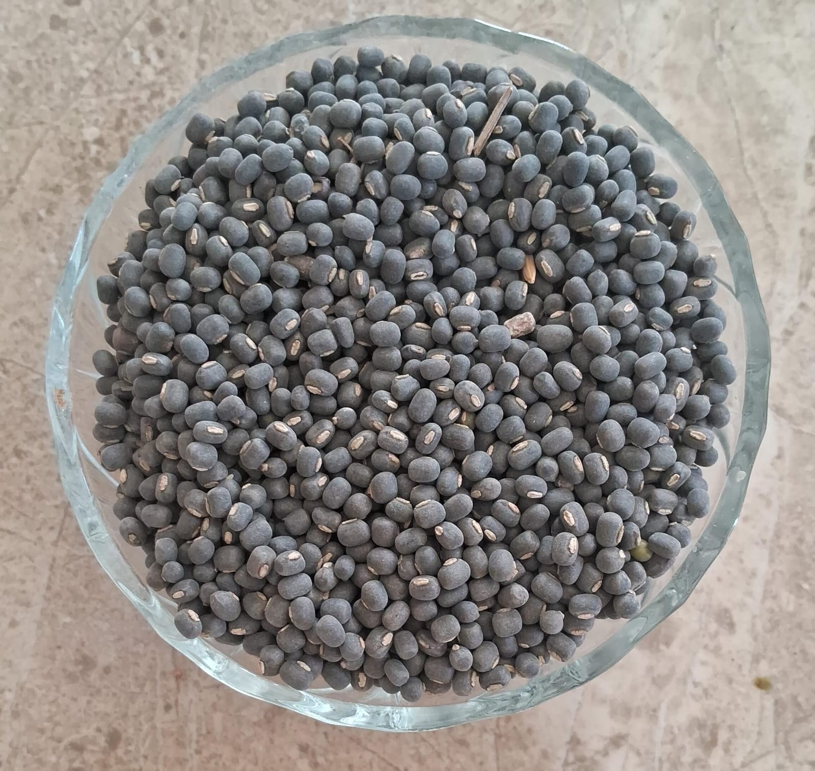 Black Urad Dall Seed | கருப்பு உளுந்து விதை 100g