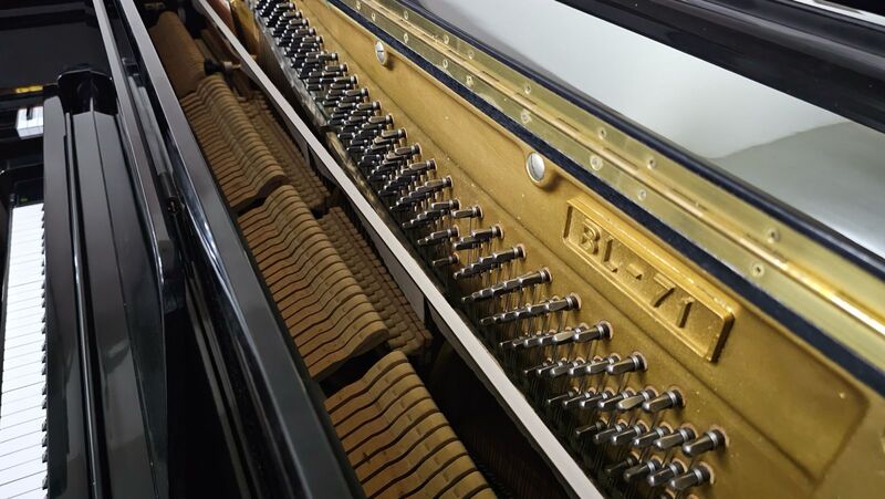 Kawai BL71