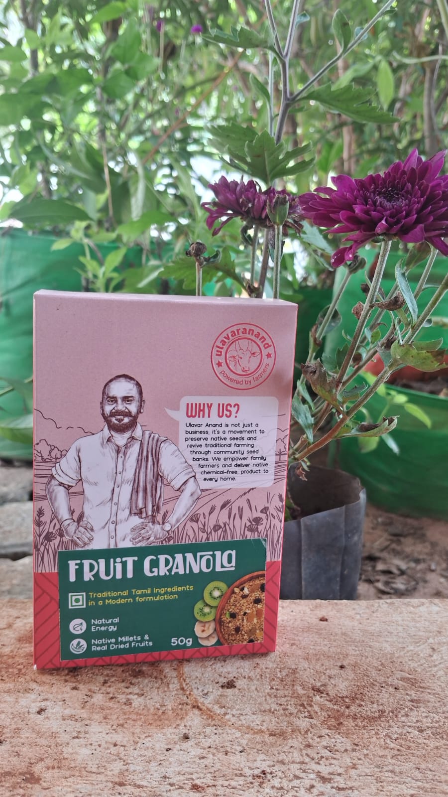 Fruits Granula Muesli 50 g