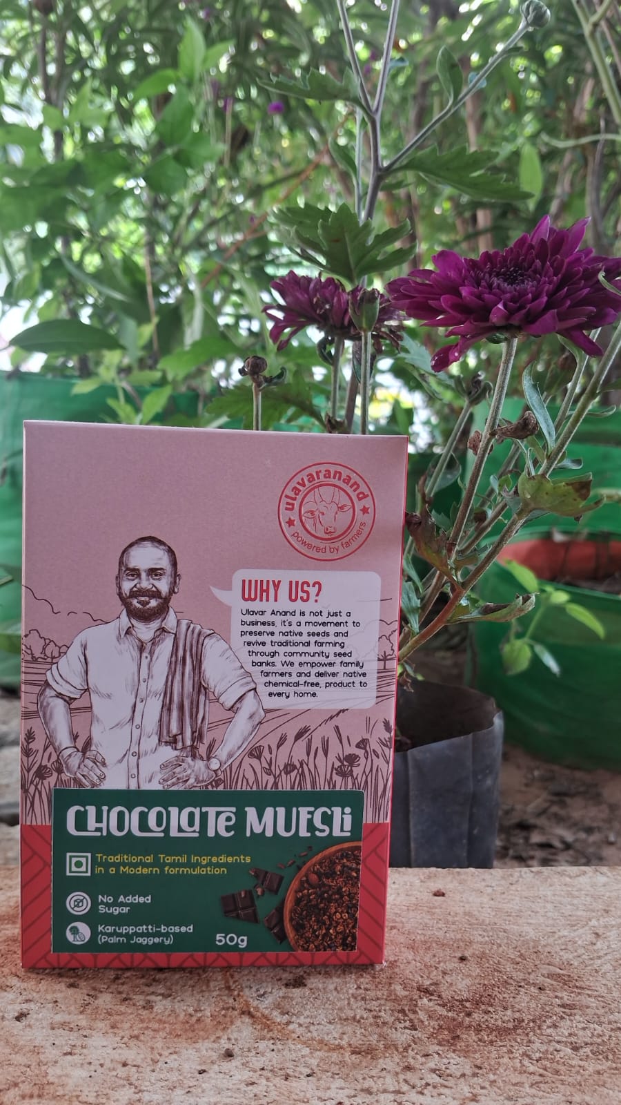 chocolate muesli 50 g