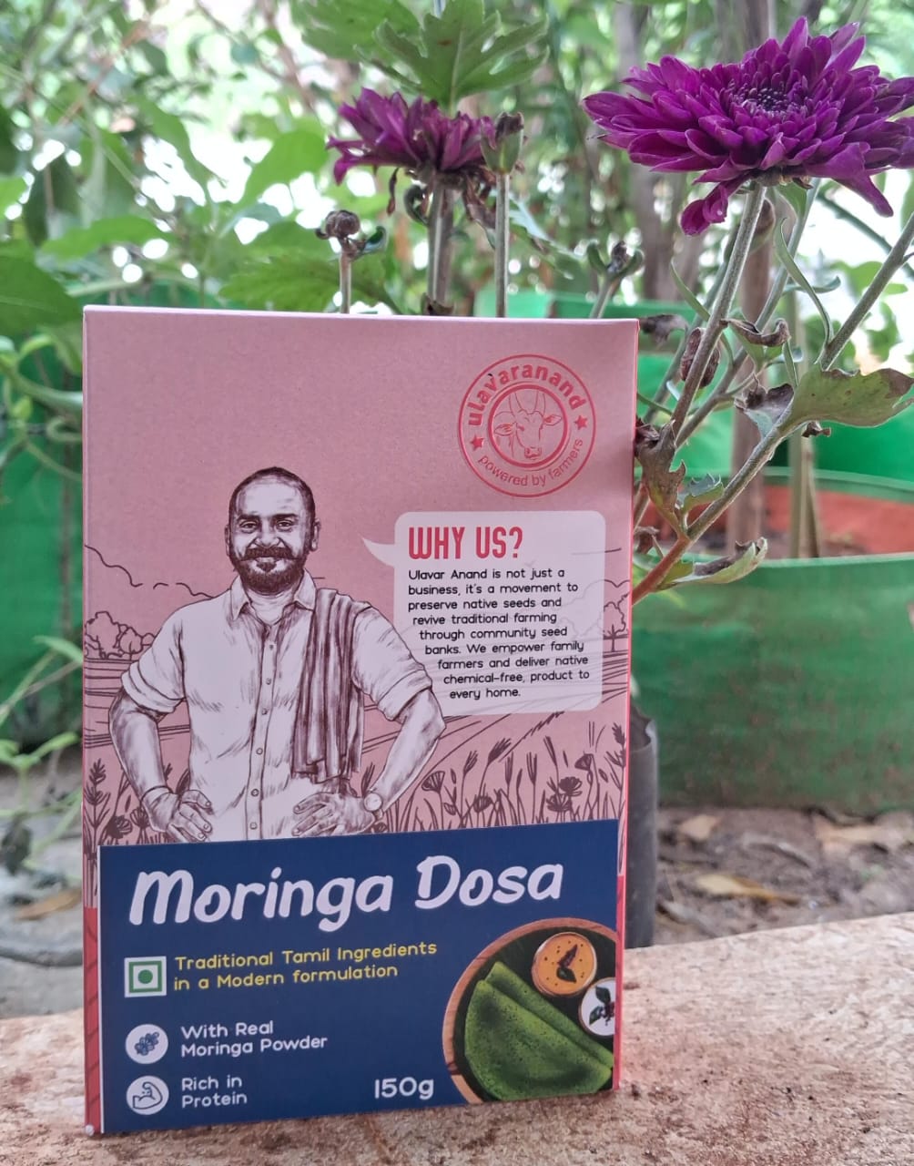 சிறுதானிய தோசை மிக்ஸ் (முருங்கை ) | Instant Milelt Dosa Mix murungai 150G