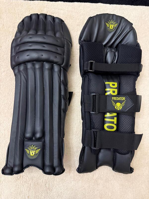 Core Cricket Leg Pads
