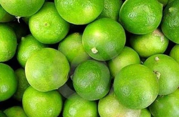 எலுமிச்சை | Lemon