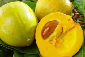 egg fruit 4 SEEDS