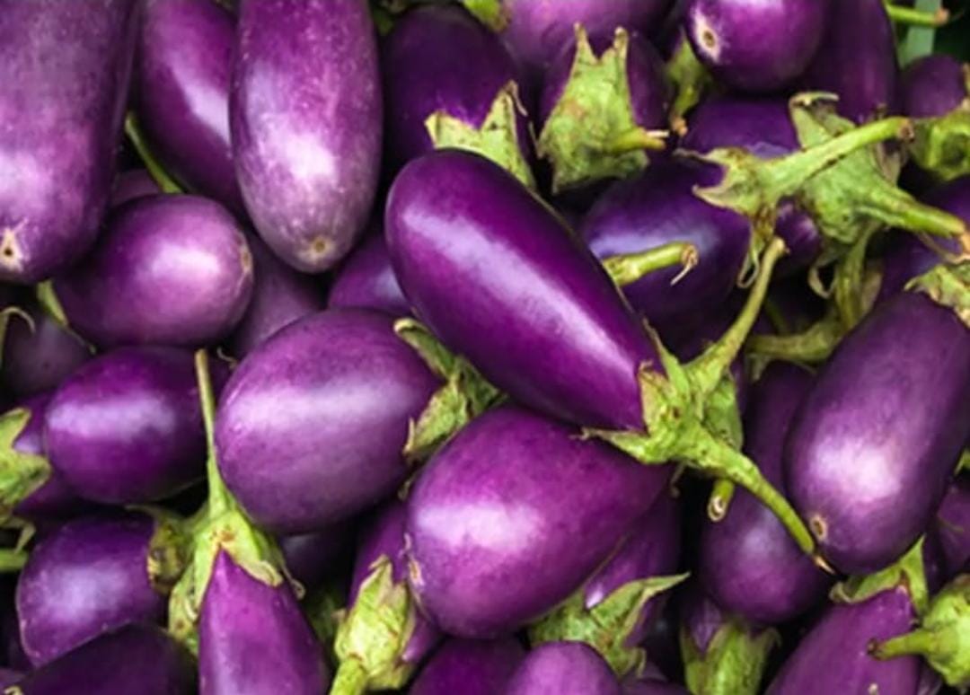 நெய் கத்தரி | Ghee Brinjal