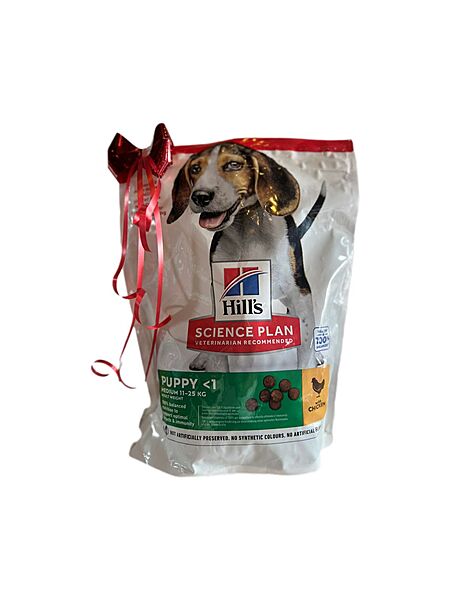 Hill's Science Plan Puppy Medium w/ Chicken 800g