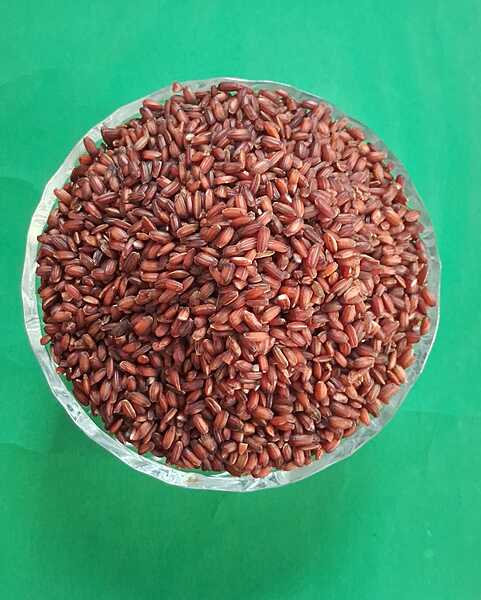 KUDAIVAALAI RICE 500 G