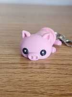Flexi Piggy