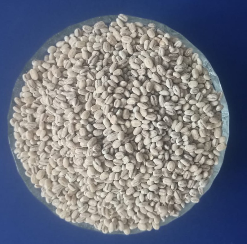 BARLEY RICE 1 KG