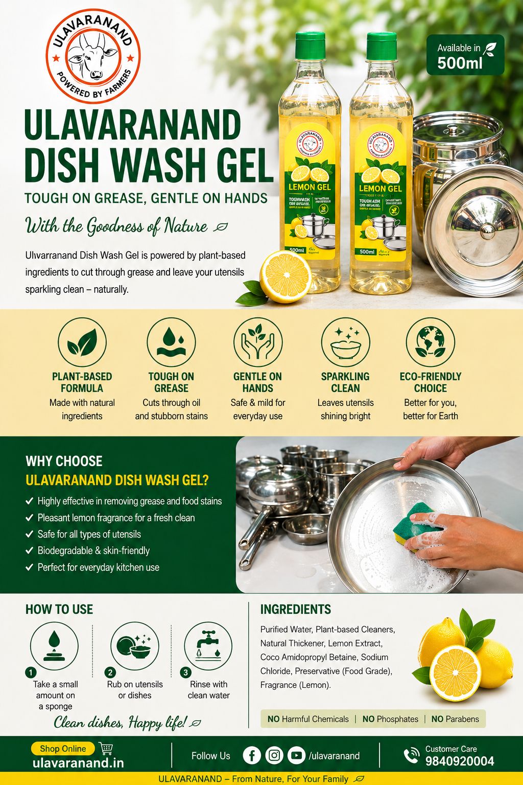 DISH WASH 500 ML