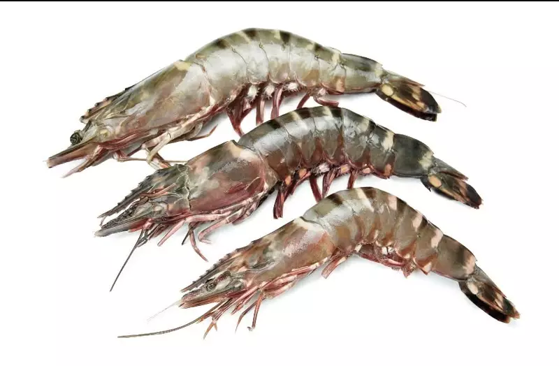 Big Tiger Prawns Sea Frozen packs