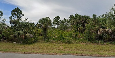 14212 and 14220 Carney Ave - Affordable .46 Acre Vacant 2 Lots in Port Charlotte