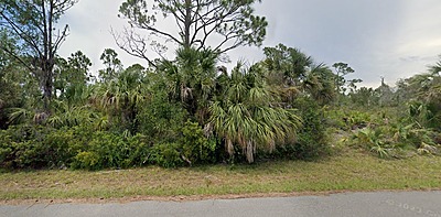 14212 and 14220 Carney Ave - Affordable .46 Acre Vacant 2 Lots in Port Charlotte