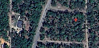 117 Madison Avenue - Affordable Vacant Lot in Hawthorne