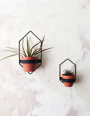 Wall Mounted Metal Flower Stand | Geometric Plant Holder