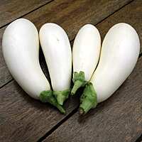 White Long Brinjal ( வெள்ளை நீட்ட கத்தரிக்காய்)