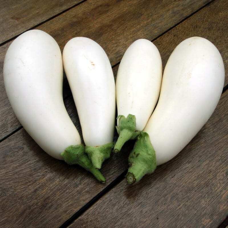 White Long Brinjal ( வெள்ளை நீட்ட கத்தரிக்காய்)