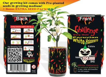 White Habanero Growing Kit