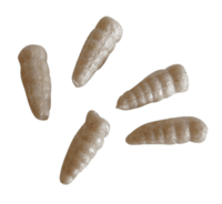 Berkley Gulp Alive Waxies Berkley Gulp Alive Waxies