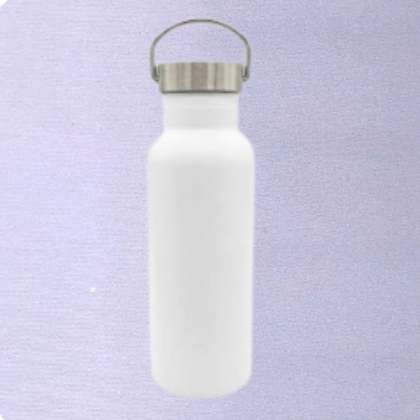 Bottle Water Stainless Steel with Silver Lid & Carry Handle