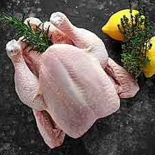Whole Chicken Xtra Small Regenerative