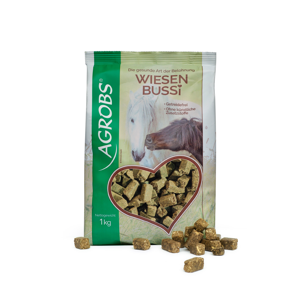Wiesenbussi