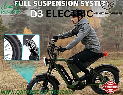 Windhorse Electric Bike D3 Windhorse Electric Bike D3