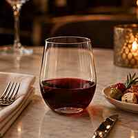 Wine Glass 8oz Stemless Choice 4/16