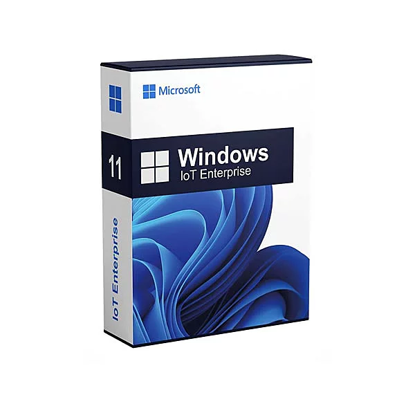 Windows 11 IoT License