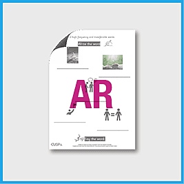 zY1 History (More Sig. Individuals) High Frequency Transferable Words AR
