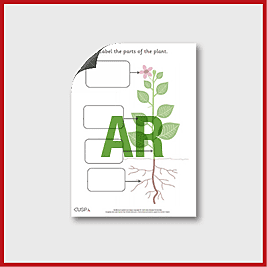 zY1 Science (Plants - Trees) Label the parts of a plant AR_3